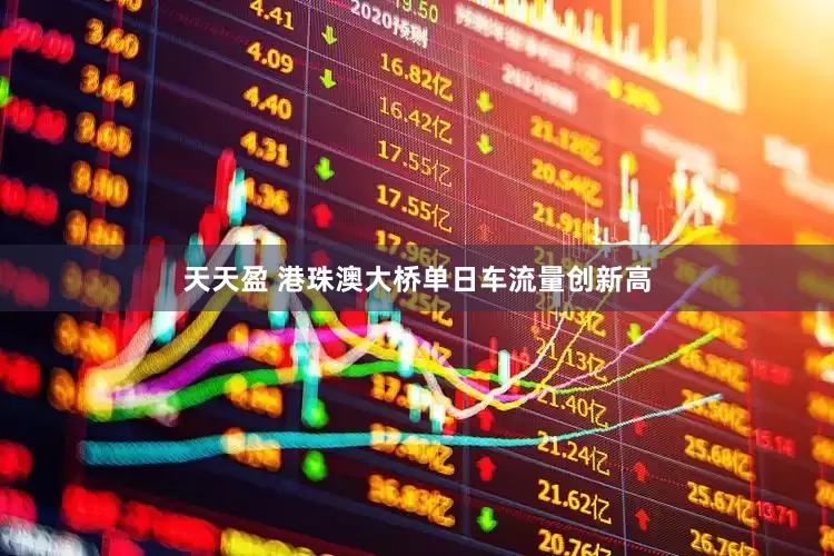 天天盈 港珠澳大桥单日车流量创新高