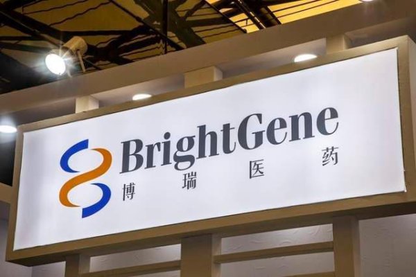 宝盈国际 利润降83%，低价定增“补血”，博瑞医药的减肥药成新“赌注”