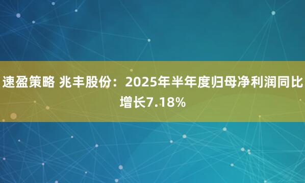 速盈策略 兆丰股份：2025年半年度归母净利润同比增长7.18%