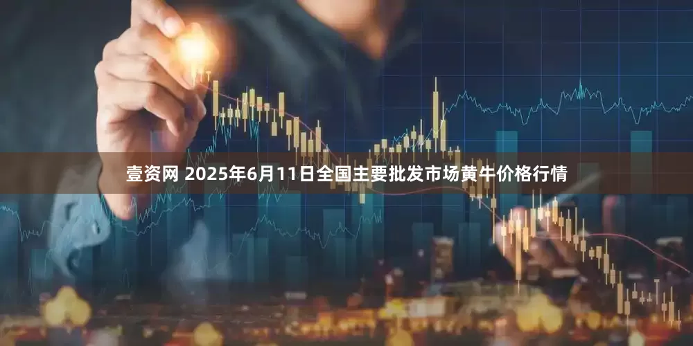 壹资网 2025年6月11日全国主要批发市场黄牛价格行情